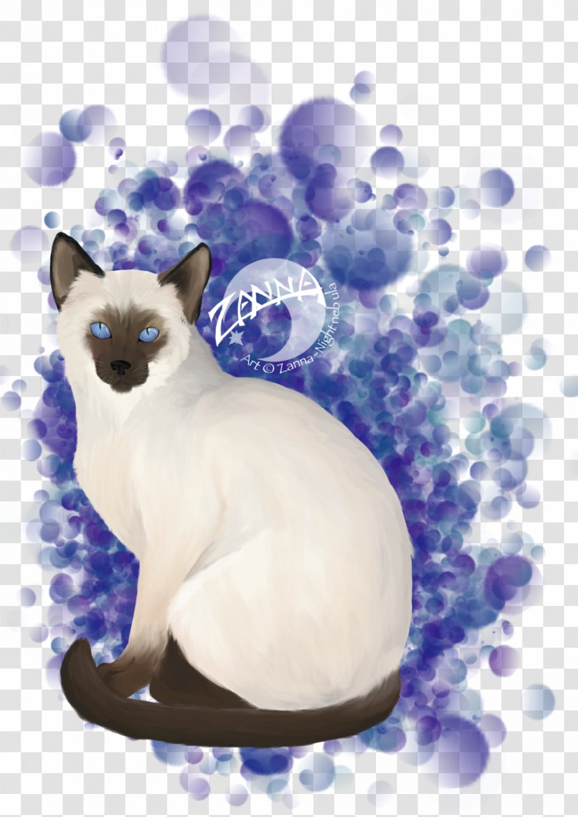 Whiskers Cat Paw Illustration Desktop Wallpaper - Birthday Night Transparent PNG