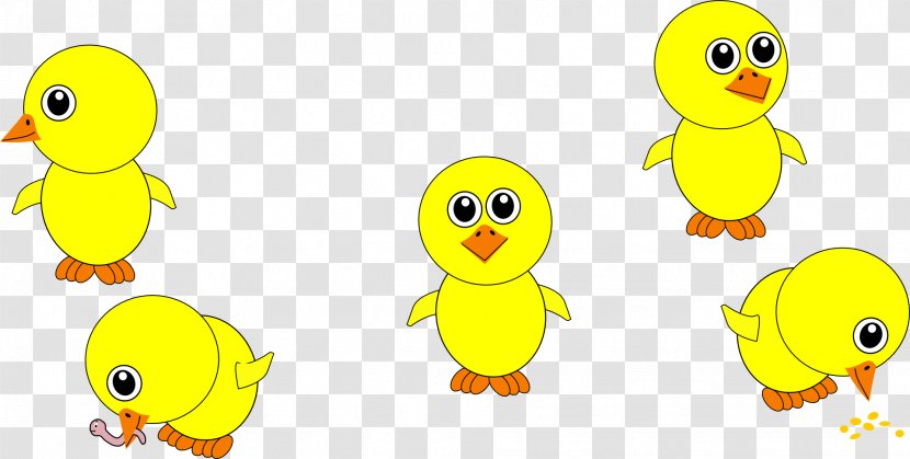 Chicken Cartoon Kifaranga Clip Art - Line - Yellow Chickens Transparent PNG