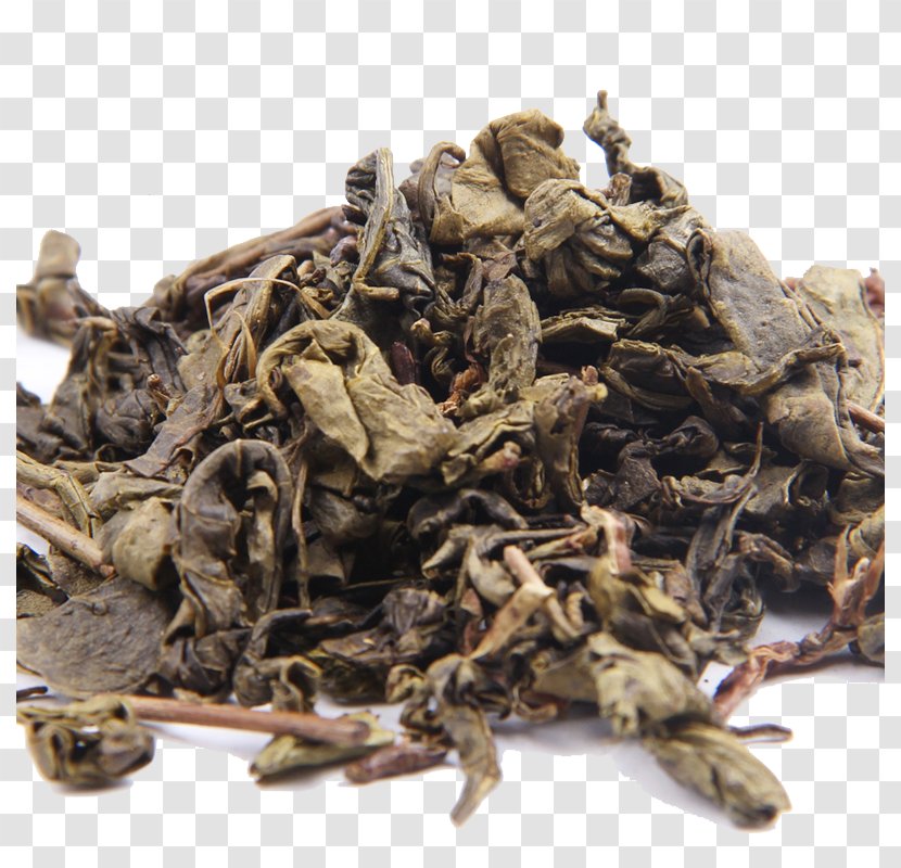 Tea Basil Herb - Beefsteakplant - Herbs Leaves Transparent PNG