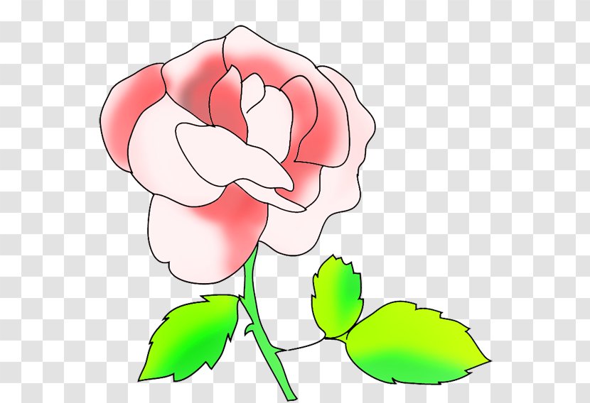 Clip Art Garden Roses Drawing Image Floral Design - Cartoon - Rose Transparent PNG