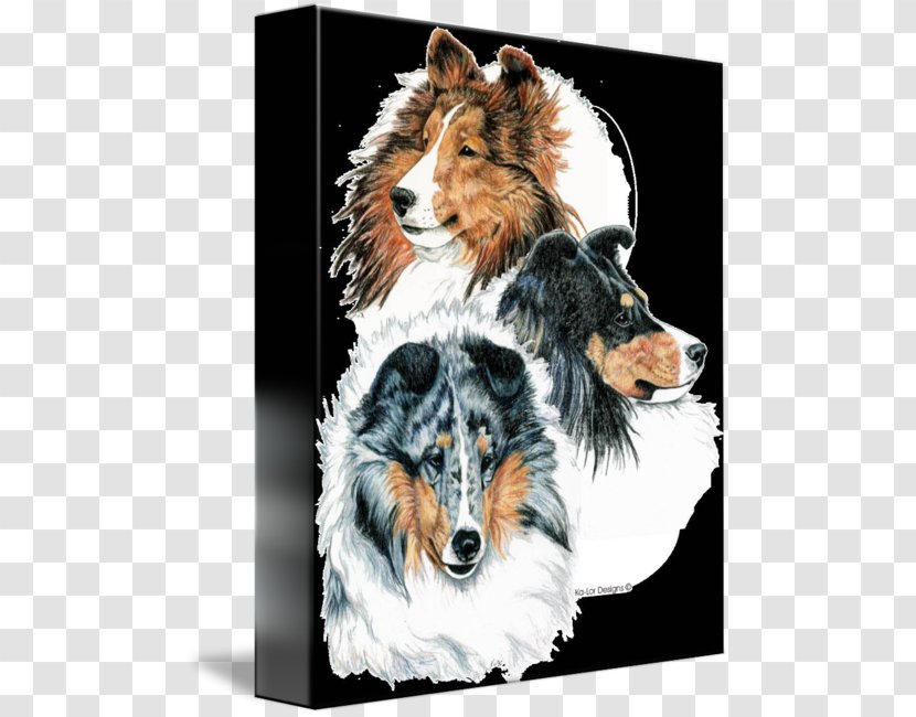 Rough Collie Shetland Sheepdog Old English Dog Breed Companion Transparent PNG