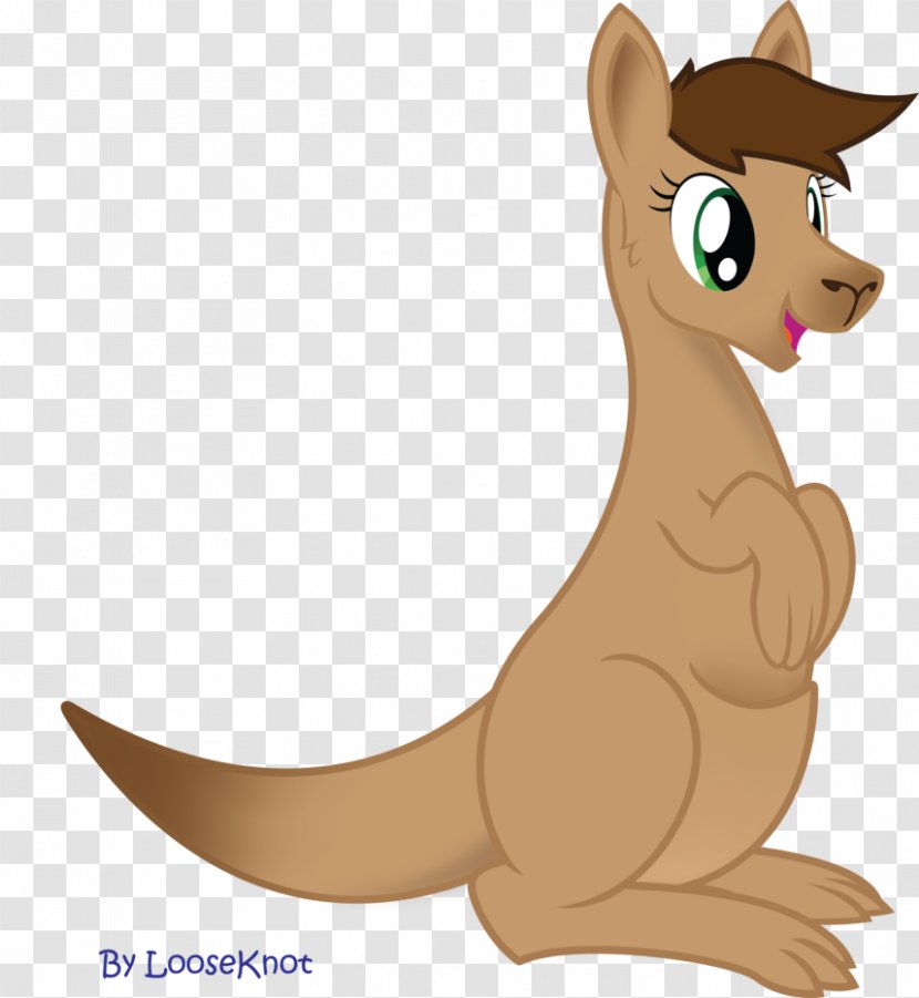 Kangaroo Macropodidae Cat Horse Dog - Mammal Transparent PNG