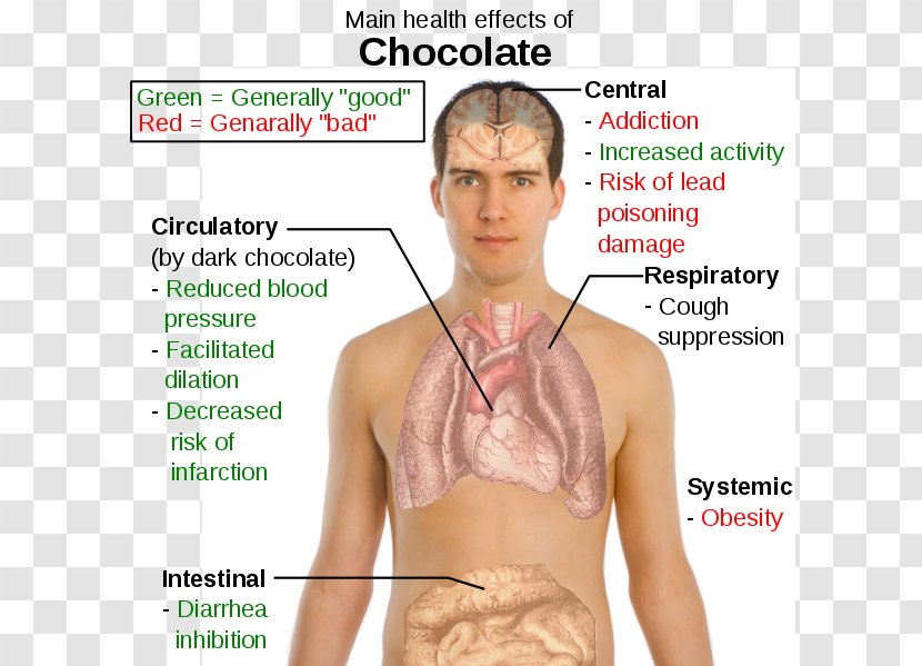 Dark Chocolate Cocoa Solids Health Effects Of Bean - Watercolor Transparent PNG