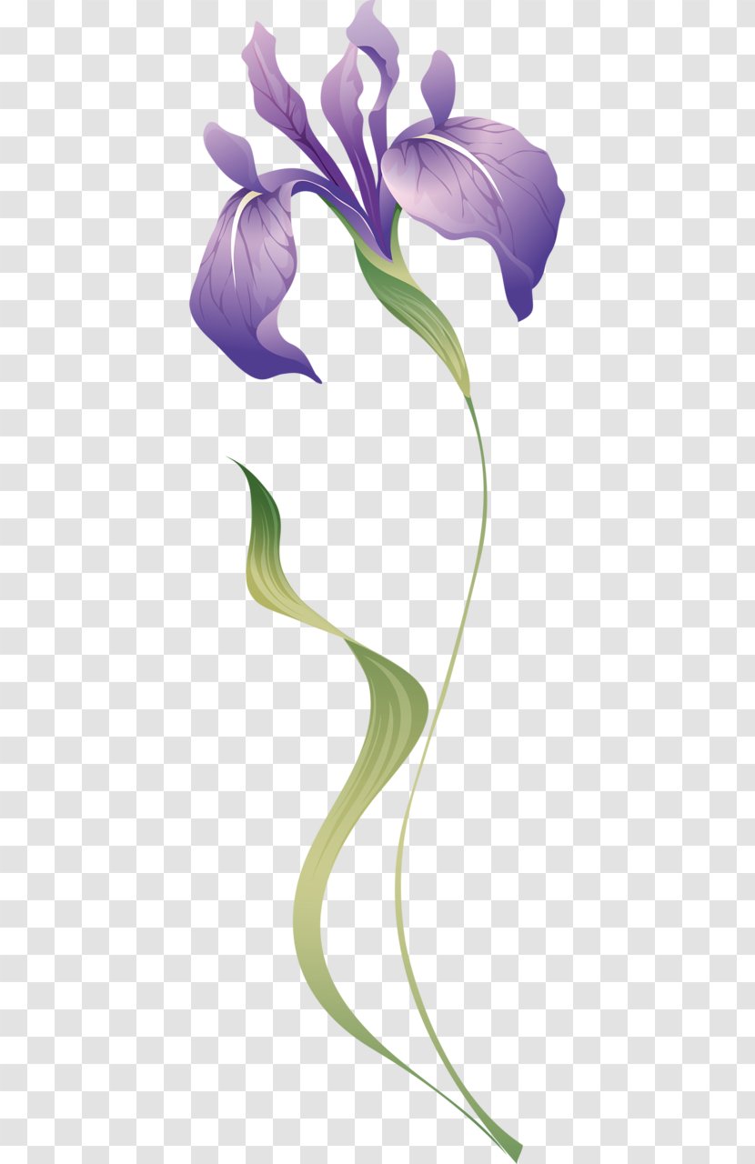 Flower Brush Irises Petal - Branch - Hand-painted Purple Orchid Transparent PNG
