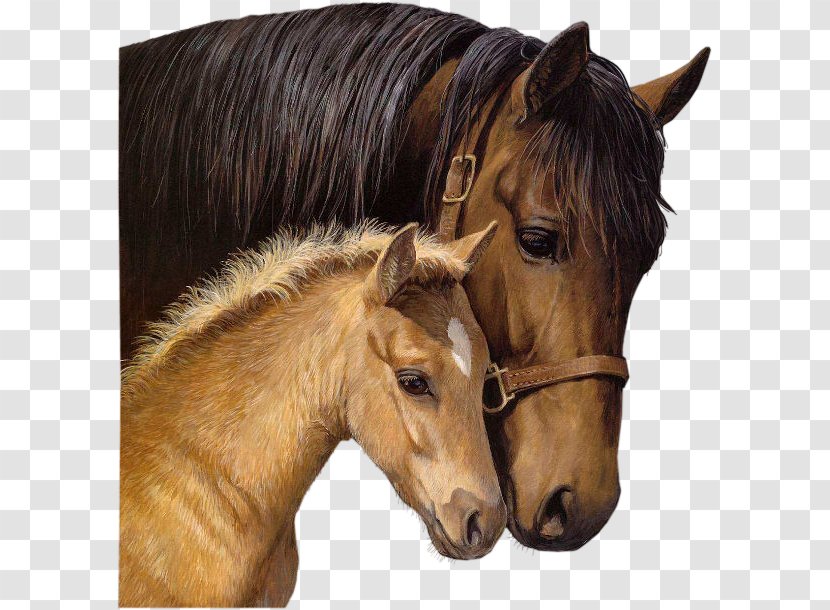 Horse Painting Art Drawing Transparent PNG