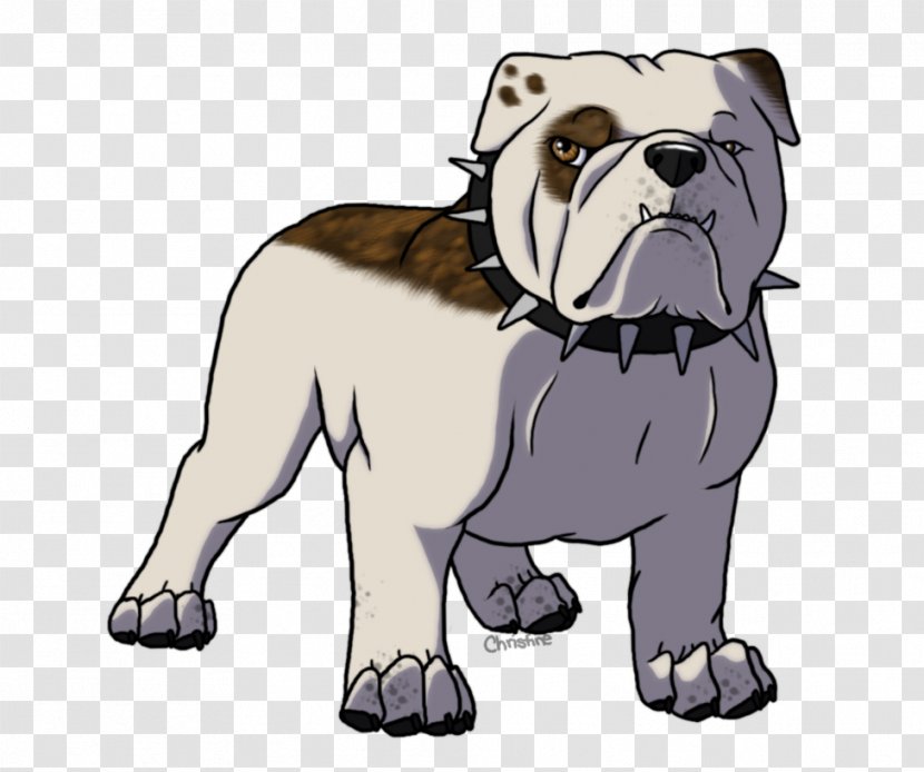 Toy Bulldog Old English Puppy Dog Breed - British Transparent PNG