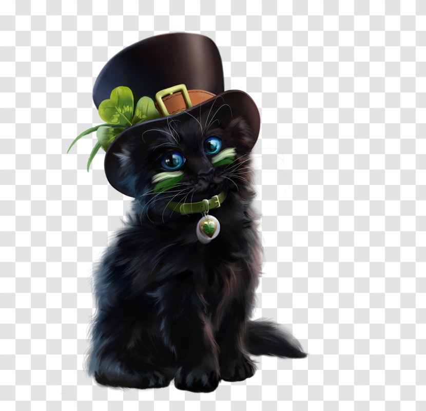 Cat Halloween Kitten - Small To Medium Sized Cats Transparent PNG