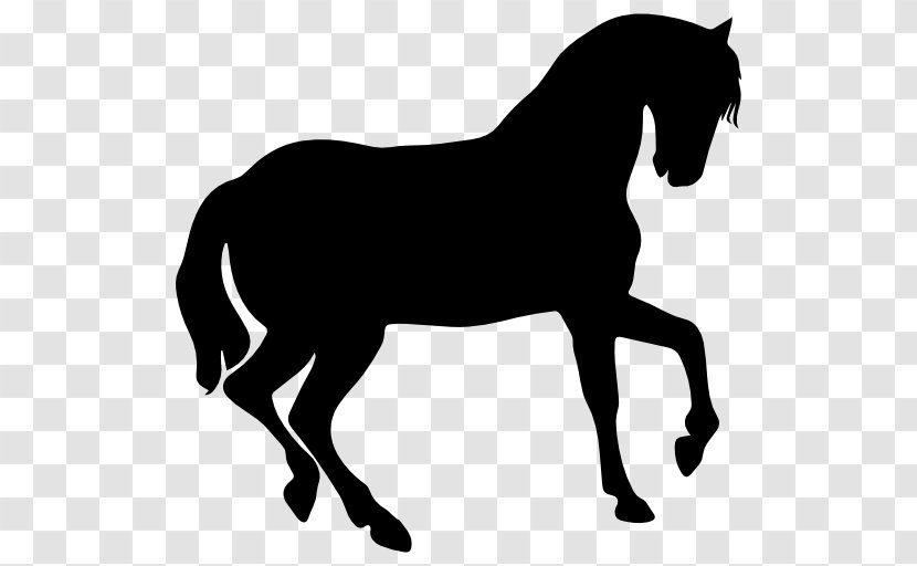 Horse Shape Rearing Clip Art - Snout Transparent PNG