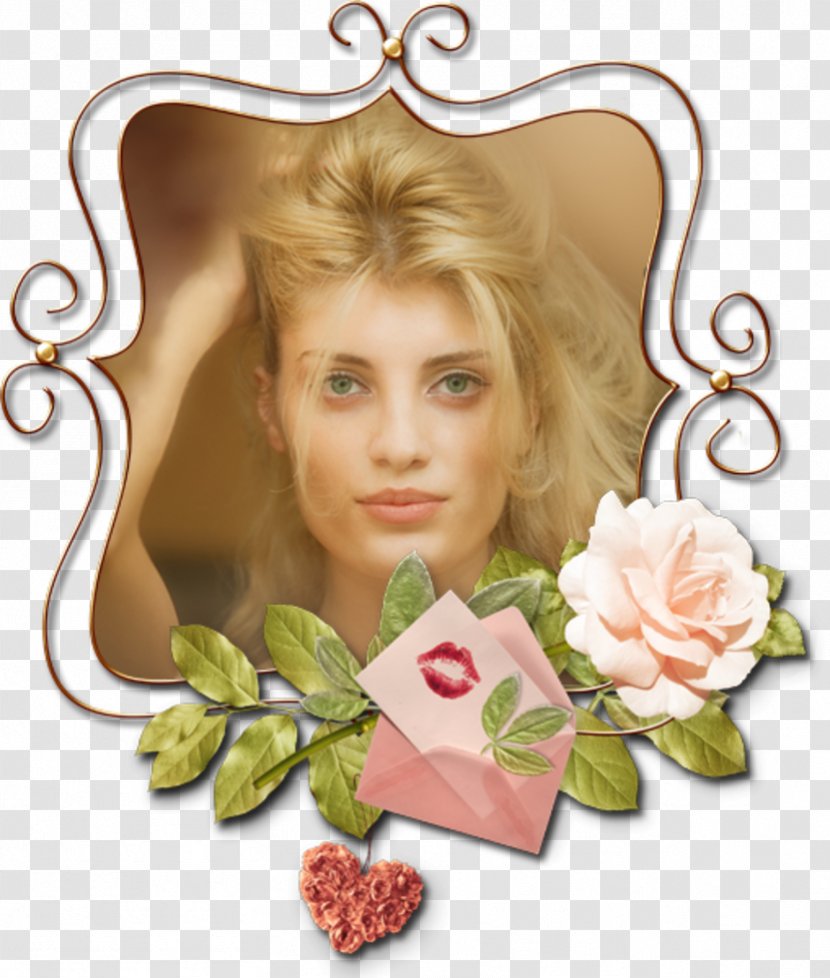 Picture Frames Garden Roses Animation - Smile - Petal Transparent PNG