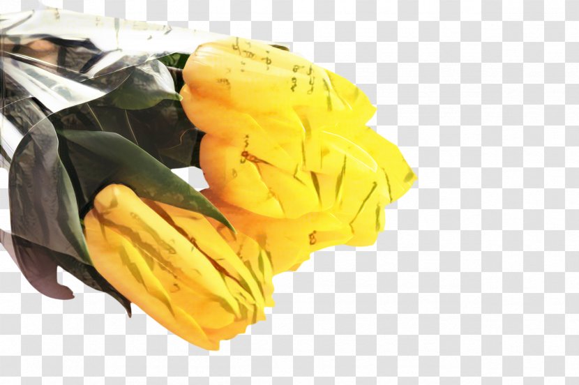 Blossom Flower - Personal Protective Equipment Glove Transparent PNG