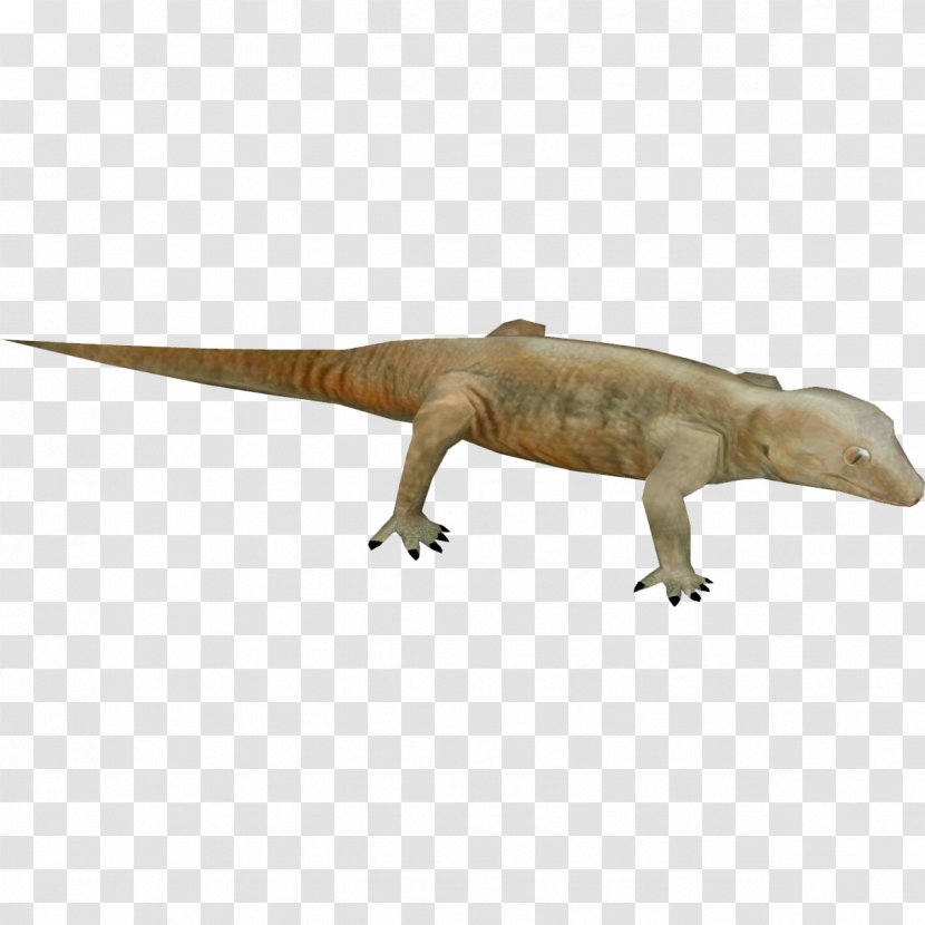 Lizard Tyrannosaurus Hoplodactylus Delcourti Reptile Monoclonius - Extinction Transparent PNG