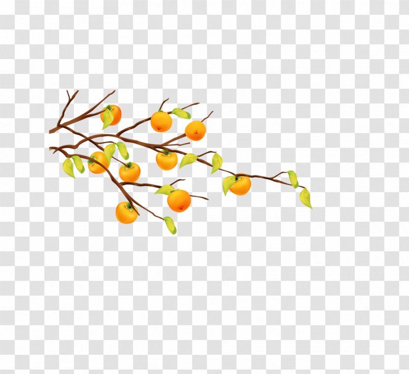 Cartoon Fruit Tree Tangerine - Art - Persimmon Transparent PNG