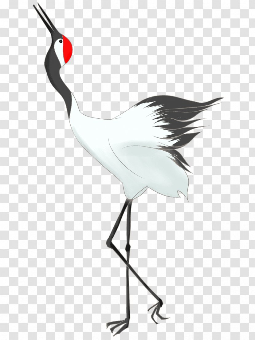 Crane Pelican Bird Beak White Stork Transparent PNG
