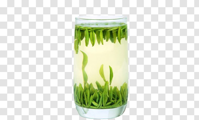 Green Tea Jintan District Meitan Cuiya Longjing - Grass - Natural Transparent PNG