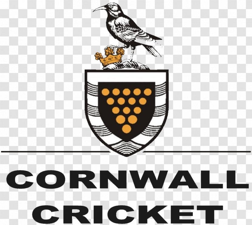 Cornwall Council St Erth Royal Show Court - Brand - College Football Flyer Transparent PNG