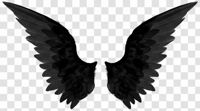 Castiel Dean Winchester Sam Angel T-shirt - Photography - Black Wings Transparent PNG
