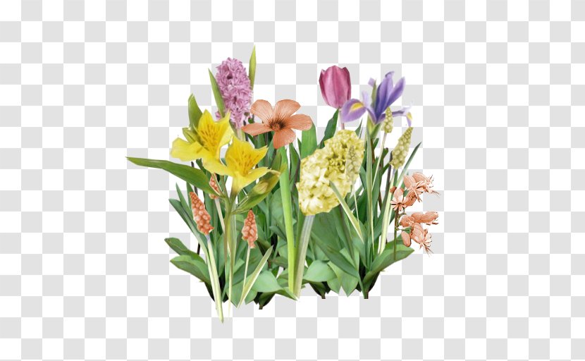 Floral Design Cut Flowers Flower Bouquet Tulip - Arranging - Pattern Texture Background Transparent PNG