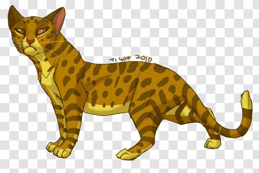 Cats Of The Clans Warriors Leopardstar Erin Hunter - Cat Transparent PNG