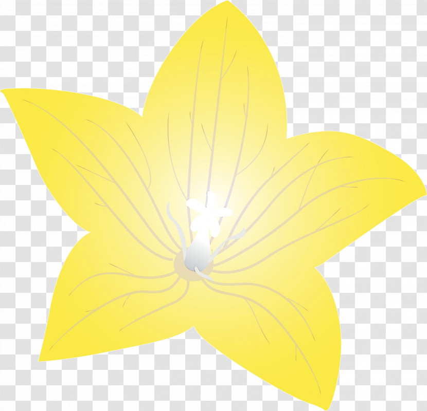 Leaf Flower Petal Symmetry Yellow Transparent PNG