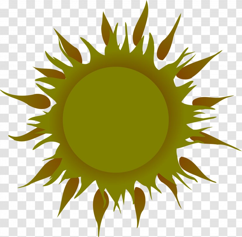 Sunflower - Logo - Symbol Transparent PNG