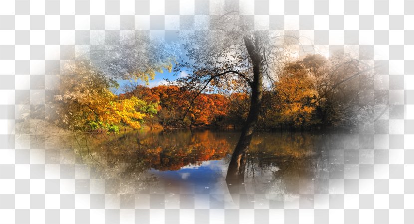 Desktop Wallpaper Nature Autumn UXGA Tree - Painting Transparent PNG