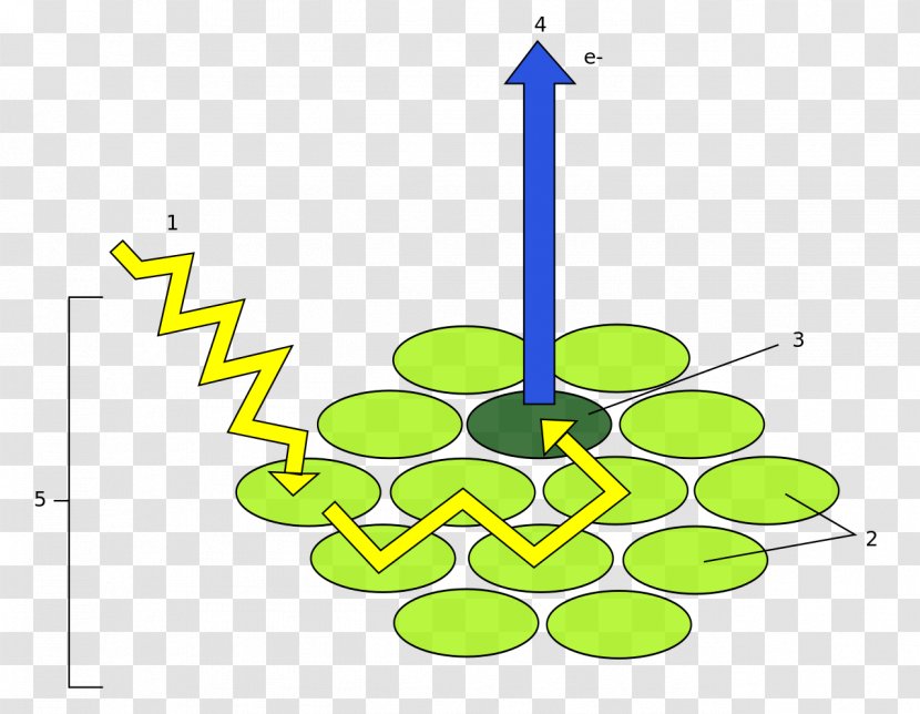 Light Photosystem Photosynthesis Chlorophyll Energy Transparent PNG