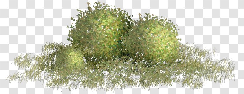 Green Clip Art - Drawing - Grass Material Storm Transparent PNG