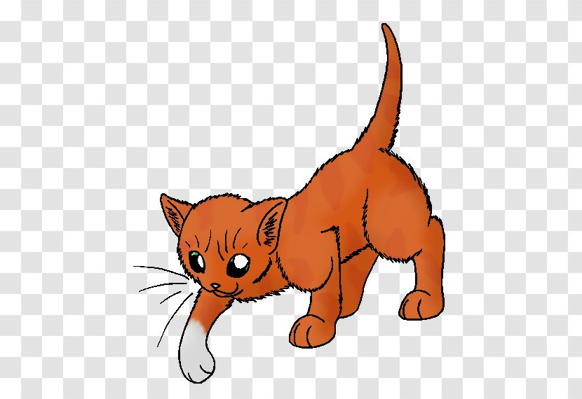 Whiskers Tabby Cat Squirrelflight Wildcat - Firestar Leafpool Transparent PNG