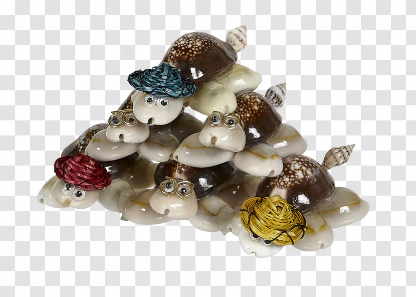 Gemstone Turtle Jewellery Jewelry Design Seashell Transparent PNG