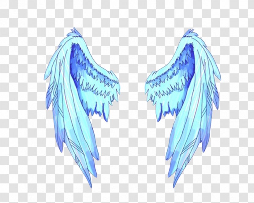 TERA Photography Clip Art - Organism - Wings Transparent PNG