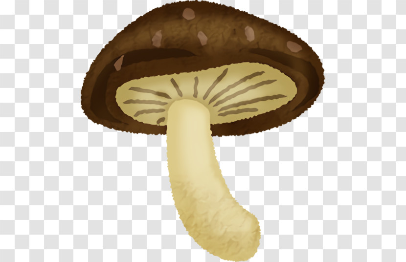 Agaricus Transparent PNG