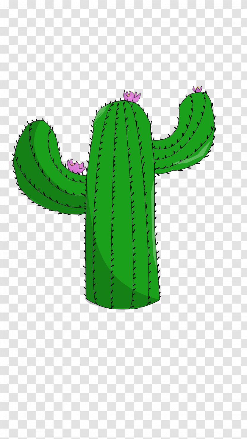 Cactus Clip Art Saguaro Echinocereus Transparent PNG