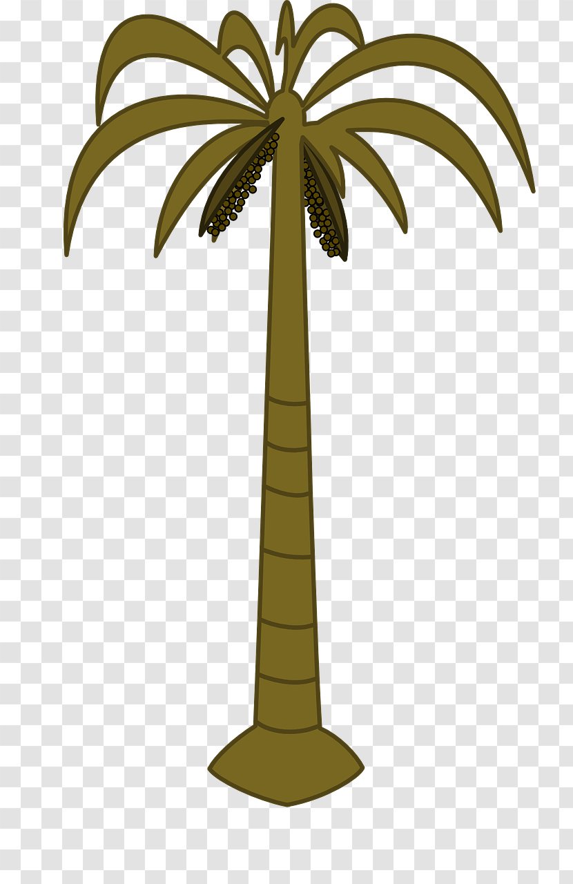 Arecaceae Coconut Date Palm Tree Clip Art - Flowerpot Transparent PNG