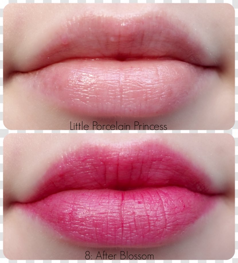 Lip Gloss Lipstick Color Rose - Makeup Swatch Transparent PNG