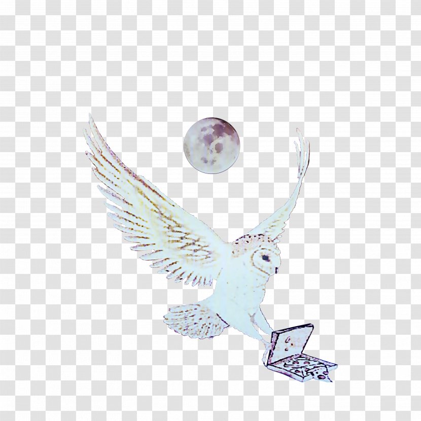 Bird Of Prey Body Jewellery Silver - Chicken Salad Transparent PNG