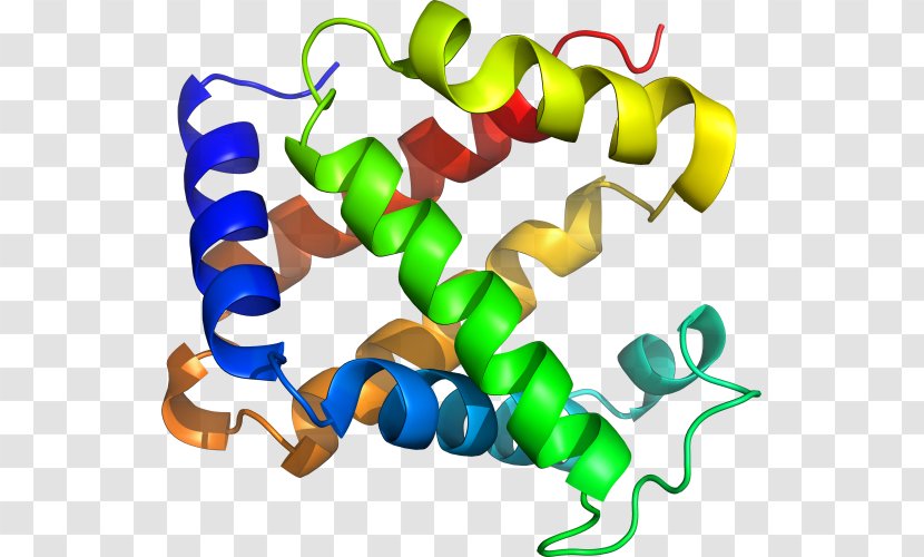 Clip Art Hemoglobin Organism Product Molecule - Drawing Transparent PNG