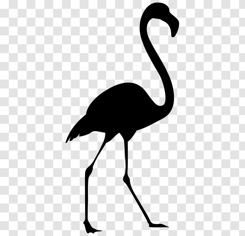 Miami Bird Hotel Clip Art Party - Tail Transparent PNG
