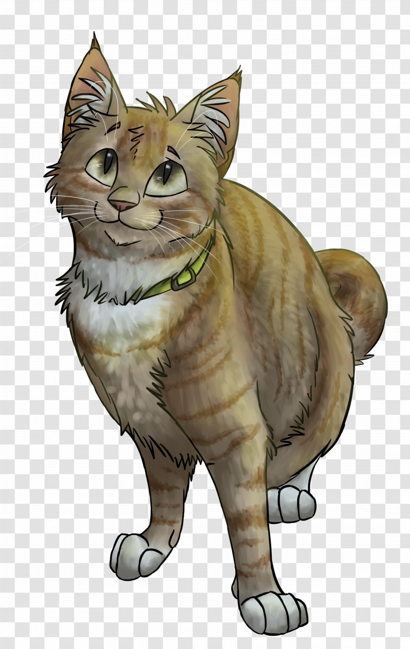 Tabby Cat Wildcat Kitten Drawing - Wildlife - Claw Transparent PNG
