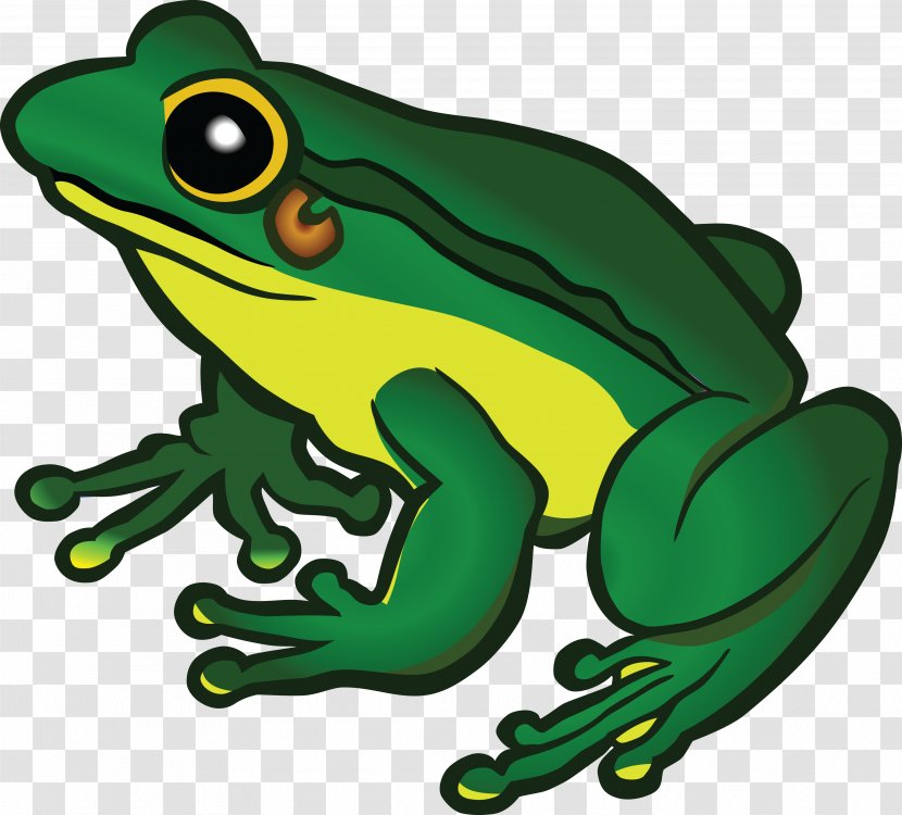 Frog Clip Art - Toad Transparent PNG