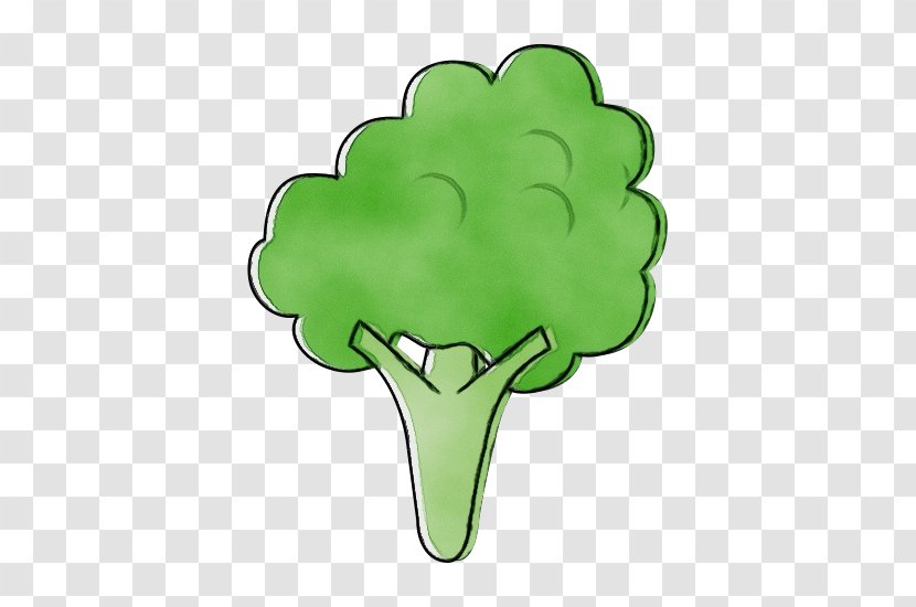 Green Broccoli Cruciferous Vegetables Leaf Vegetable - Food Transparent PNG