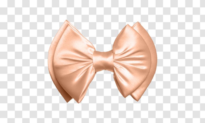 Shoelace Knot Bow Tie - Cartoon - Bowknot Jewelry Transparent PNG