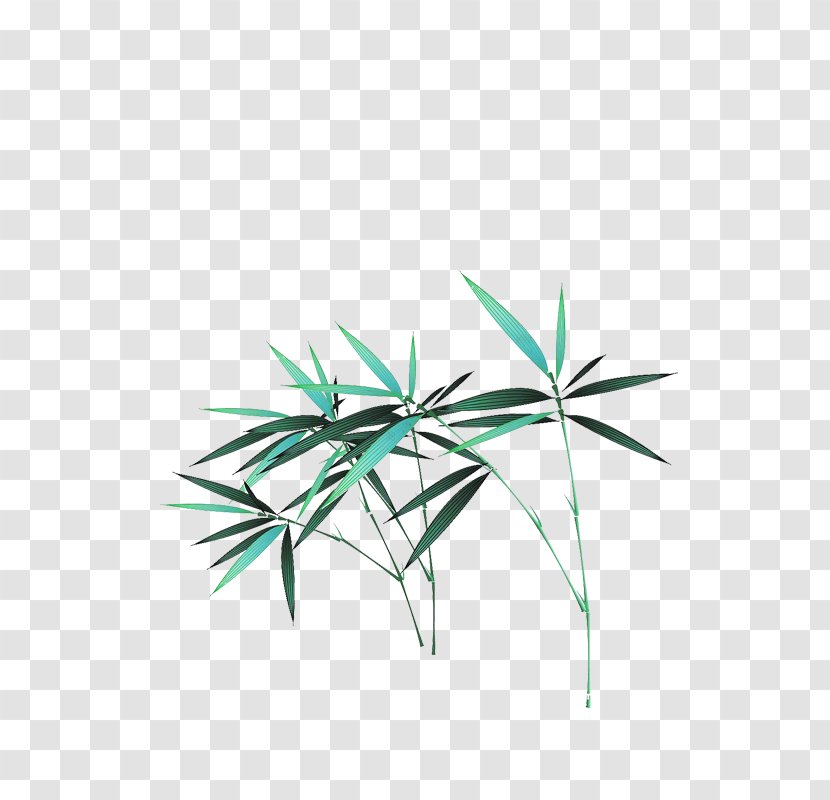 Bamboo Grass Bamboe - Green Transparent PNG