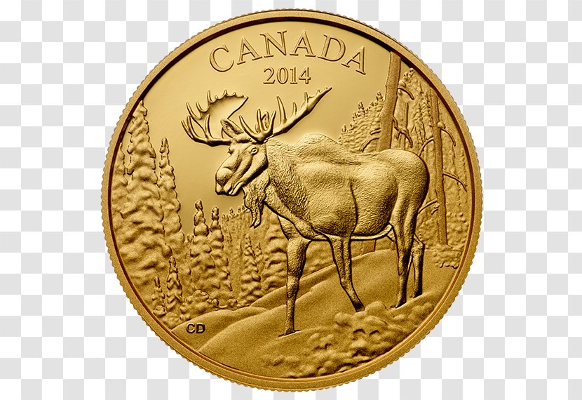 Coin Moose Deer United States Dollar Archetype - Metal Transparent PNG