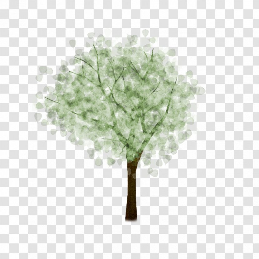 Image Desktop Wallpaper Tree Painting - Photography - Beautiful Summer Foliage Transparent PNG