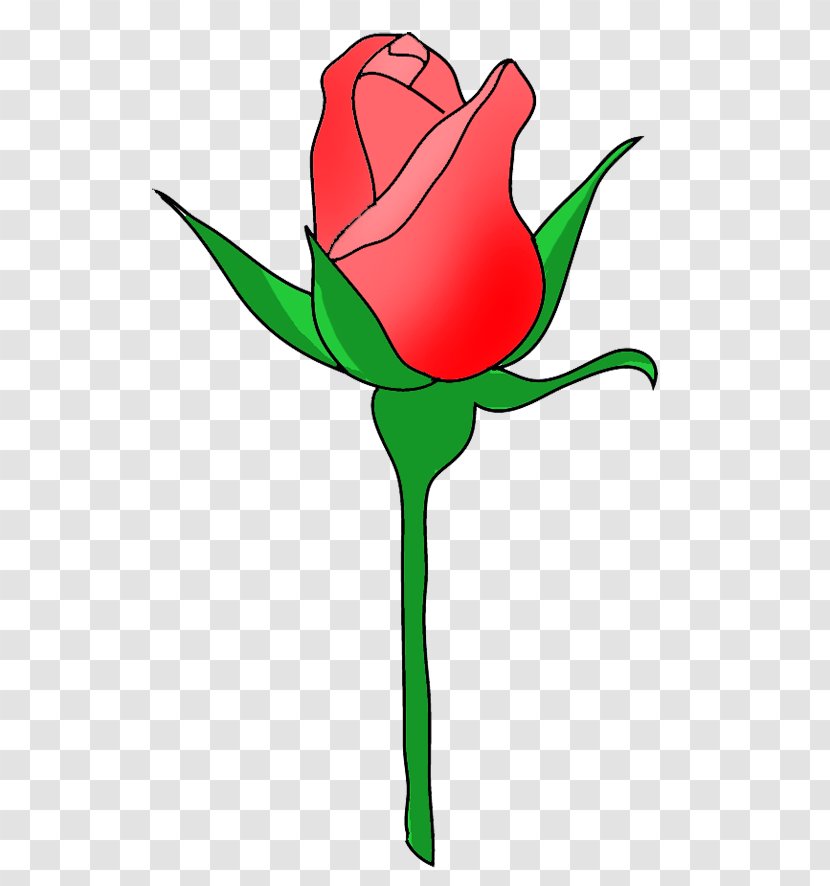 Bud Rose Flower Clip Art - Floral Design - Images Transparent PNG