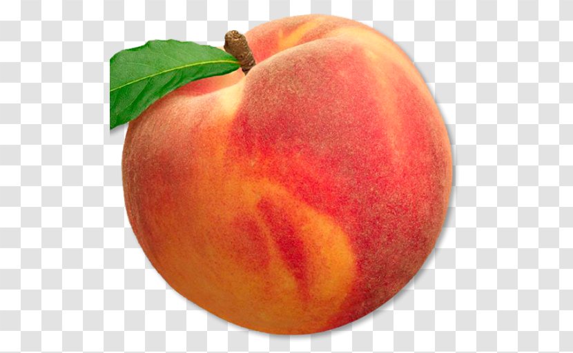 Peach Fruit Drupe Food Apple - Apricot Transparent PNG