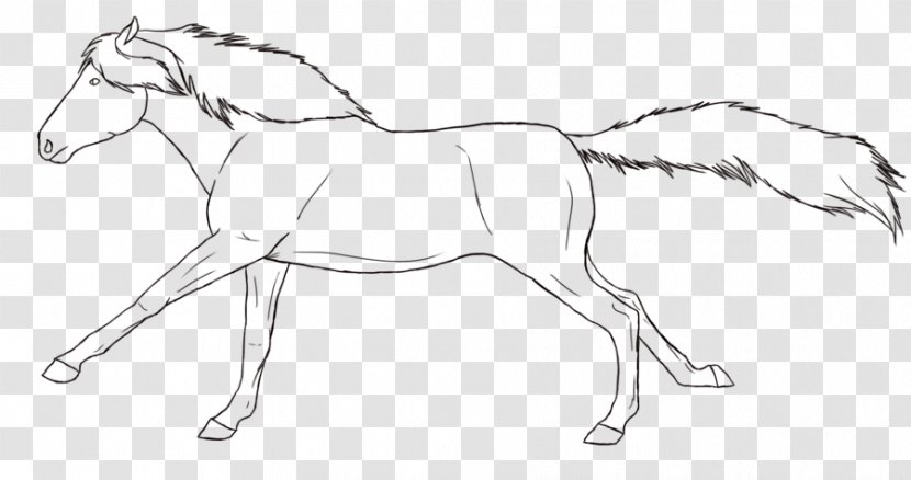 Mule Foal Bridle Stallion Colt - Lineart Transparent PNG