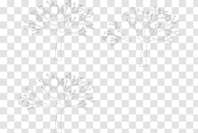 Twig White Plant Stem Pattern - Leaf Transparent PNG