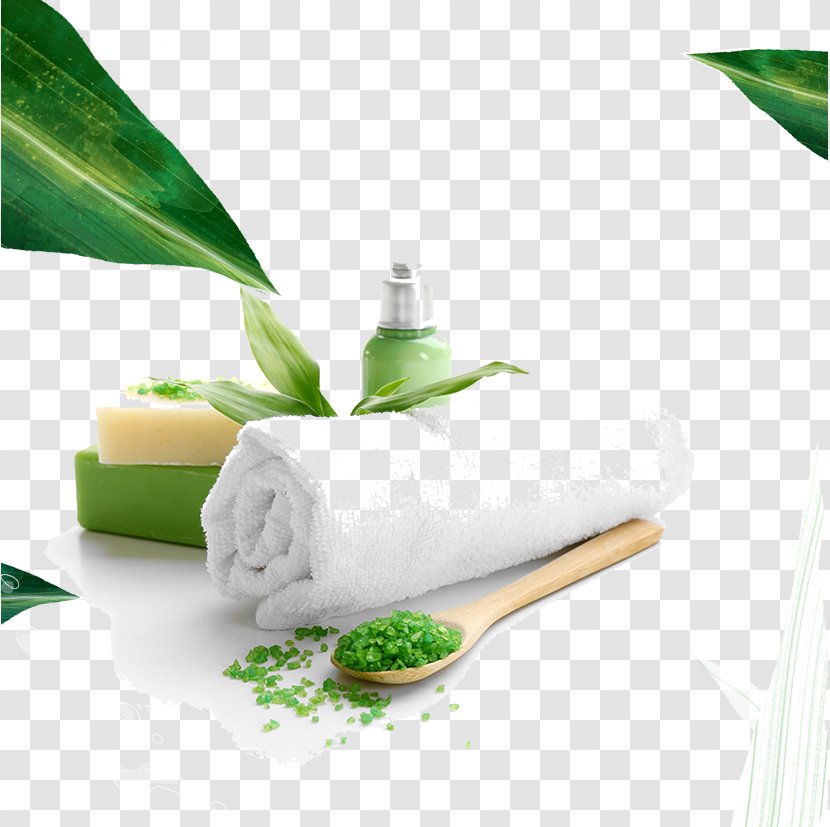 Day Spa Massage Bath Salts - Plant - Beauty Health Transparent PNG