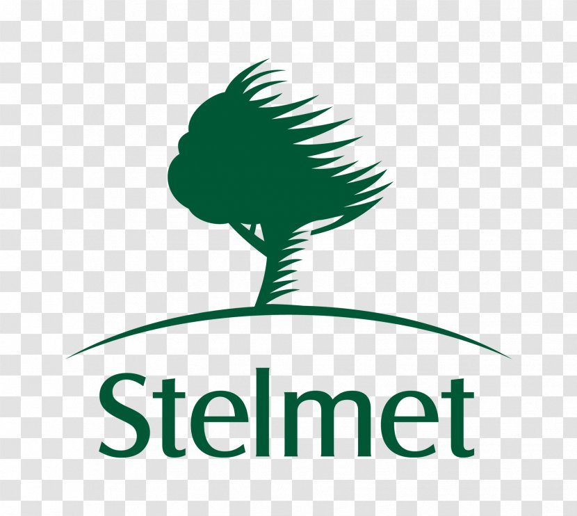 Stelmet S.A. Logo Legal Name Gorzowska City Of Zielona Gora - Green Transparent PNG